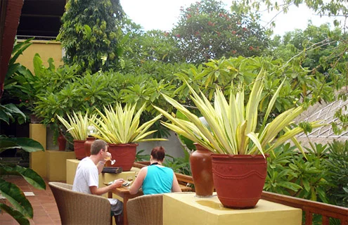 Bawang Merah restaurant Nusa Dua Bali