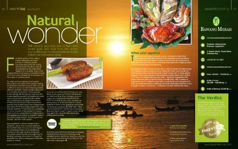 Artículo de la revista Essential Bali