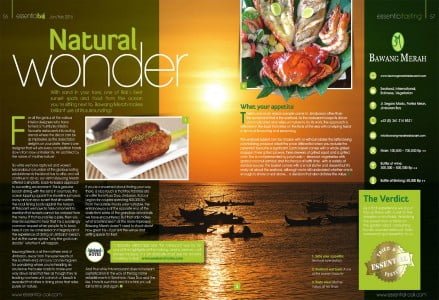 essential bali magazine