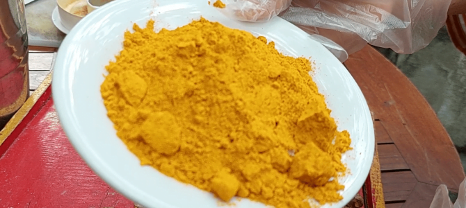 O Super Poder da Cúrcuma para o Jardim